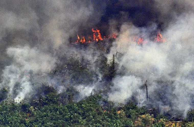 amazon rainforest fire