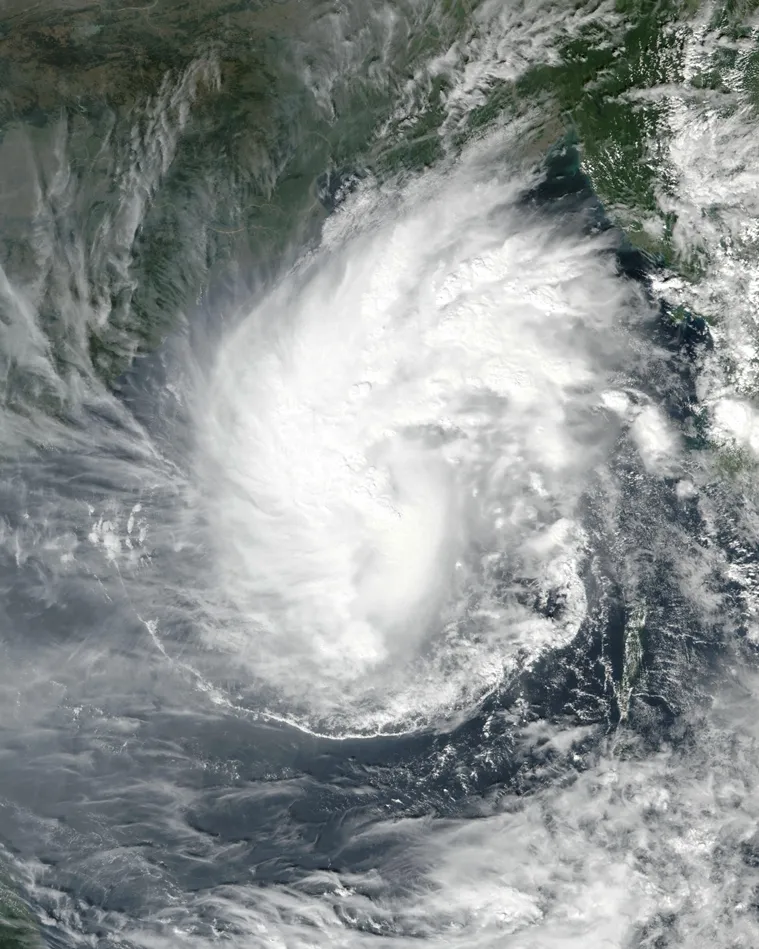 cyclone bulbul