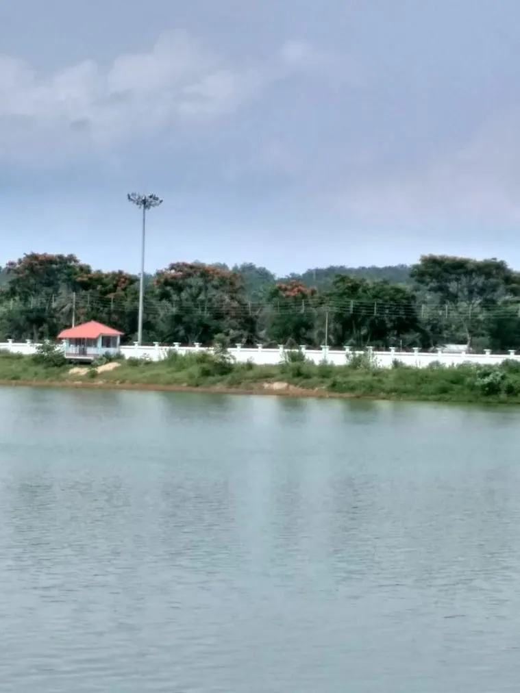Waterbody, Environment