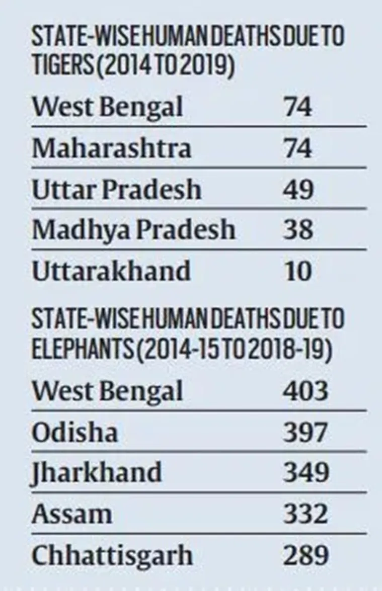 Elephant Death
