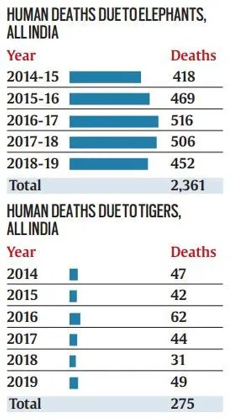 Elephant Human Conflict
