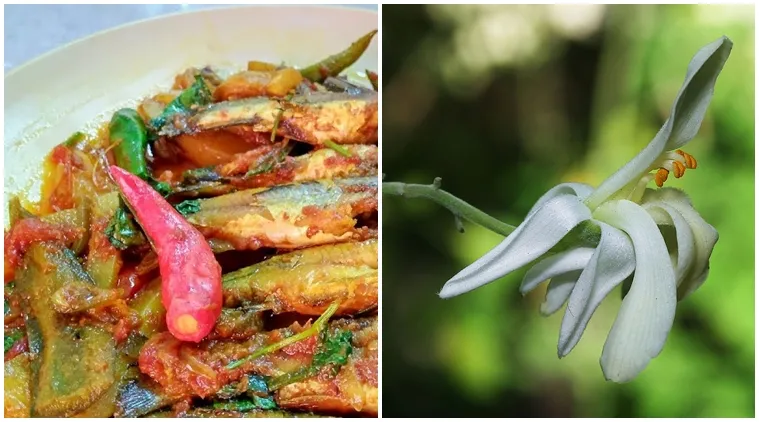 tangra fish recipe