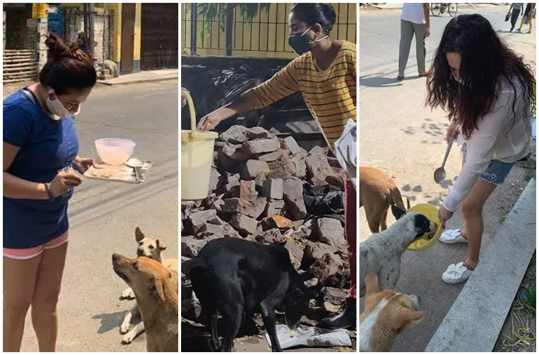 Debleena Tathagata Sreelekha raising voice against animal cruelty during corona outbreak
