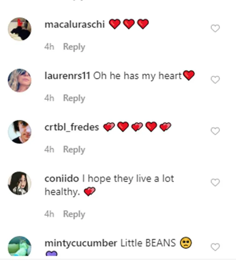 publive-image