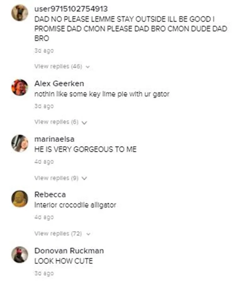 publive-image