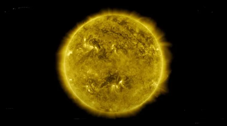 publive-image
