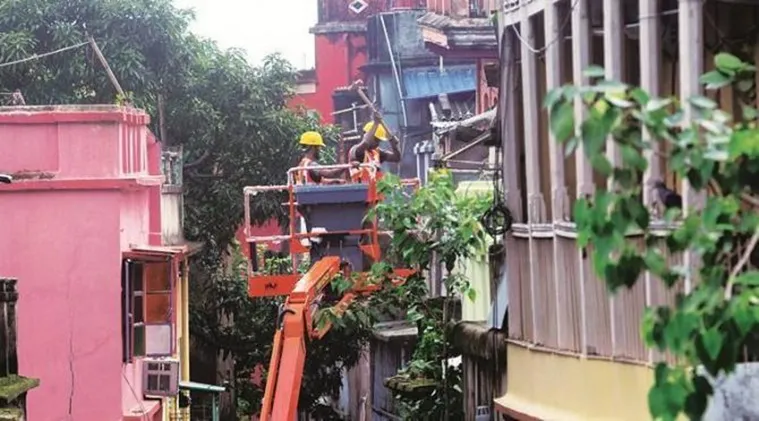 publive-image