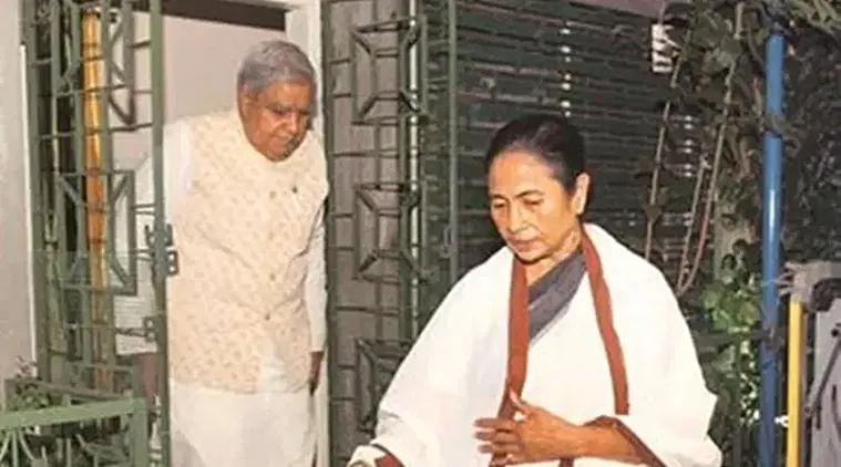 mamata dhanka