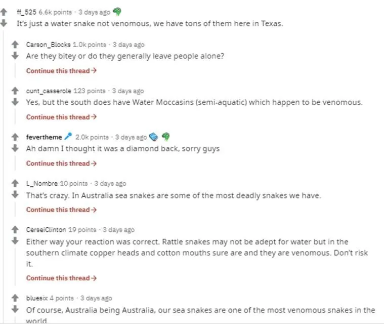 publive-image