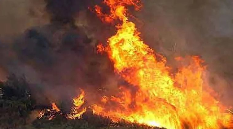California wildfire