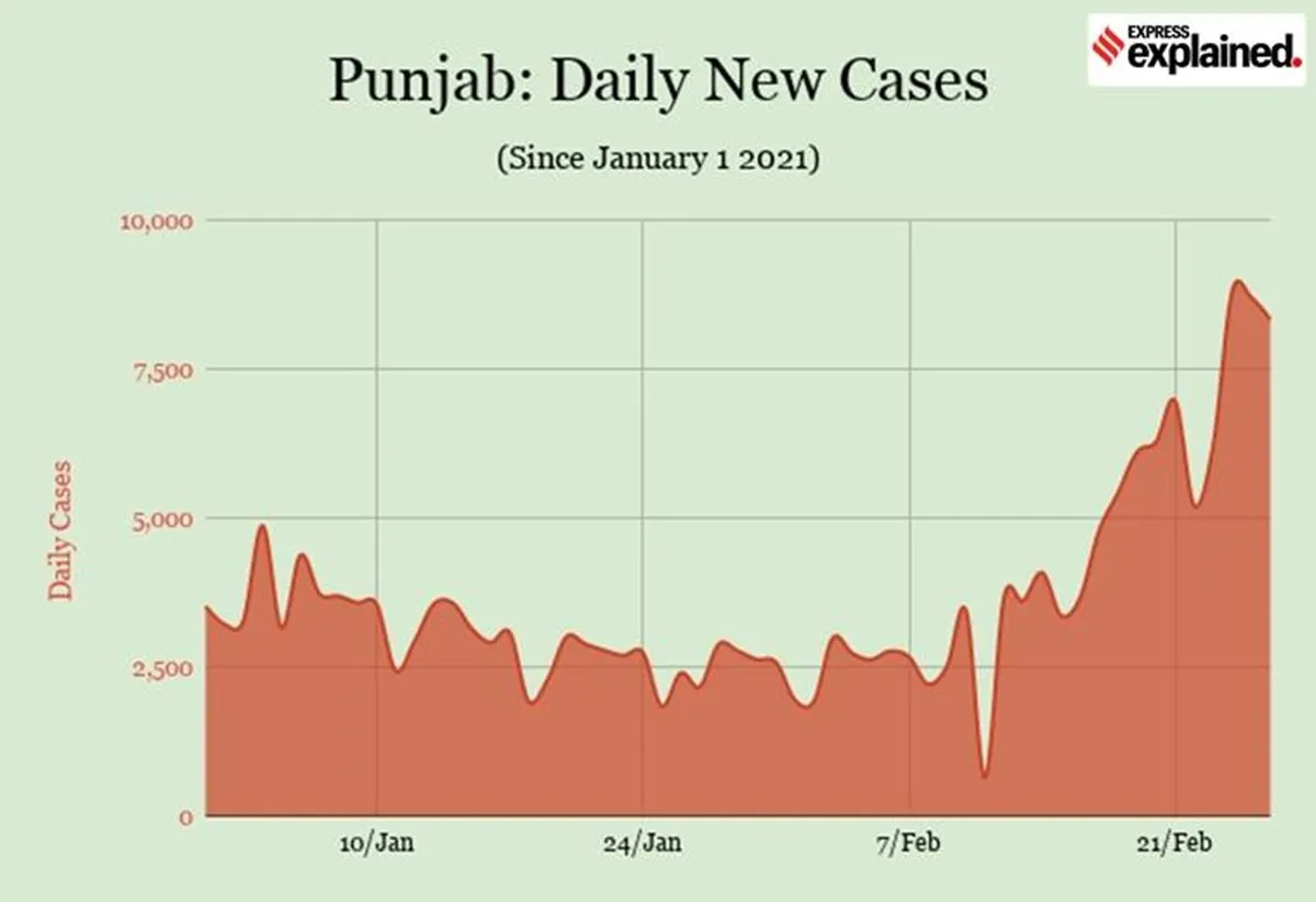 publive-image