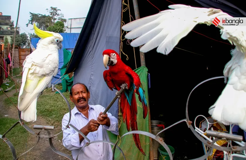 kolkata, কলকাতা, circus, সার্কাস, circus show, সার্কাস শো, ajanta circus,অজন্তা সার্কাস, circus show time, সার্কাস শো টাইম, Indian circus, ইন্ডিয়ান সার্কাস, ইন্ডিয়া রেকর্ড, India Record, West Bengal news, indian express, কলেজ স্ট্রিট, college street, করোনা, corona, corona news, Bangla Khabar, বাংলার খবর, Bangla News Live, বাংলার ব্রেকিং নিউজ, Breaking Bangla News,Bangali news, বাংলায় সর্বশেষ খবর, লেটেস্ট খবর, News in Bengali, Bengali News Today, বাংলা নিউজ, Bengali News, করোনা মহামারী, corona pandemic, Bangla Khabor, কোভিড-১৯, covid, News in Bangla, করোনা ২০২২, corona 2022, 24 Ghanta Bangla News, Bangla News, covid-19