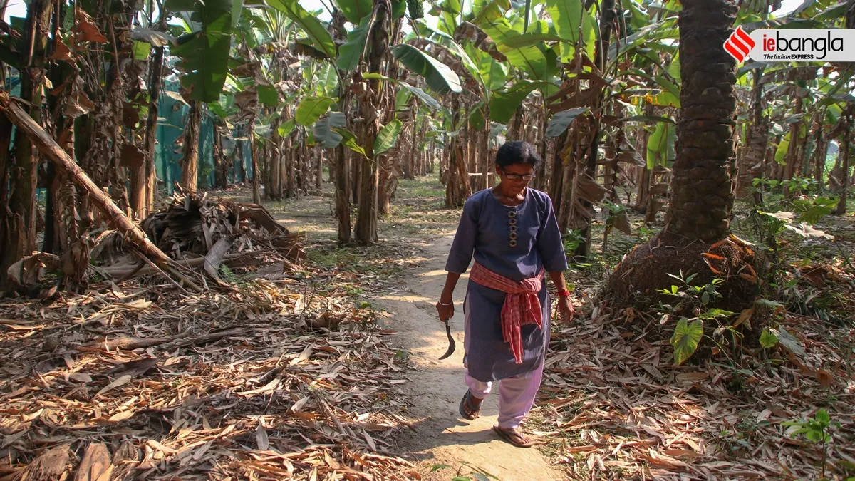 women farmer in murshidabad, university dropout, made crops, an inspiration