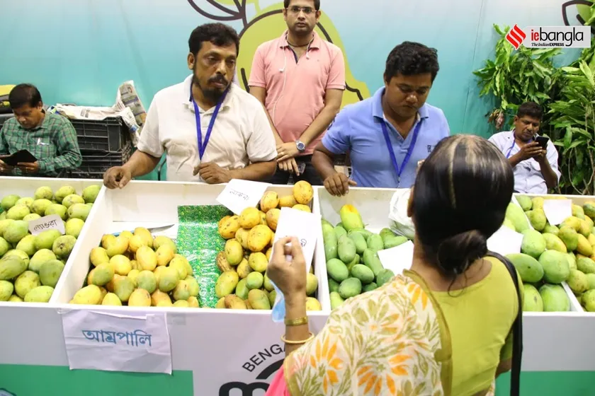 mango utsav- kolkata 2022     