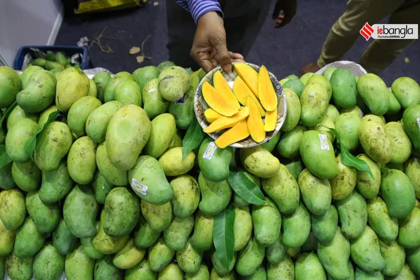  mango utsav- kolkata 2022 
