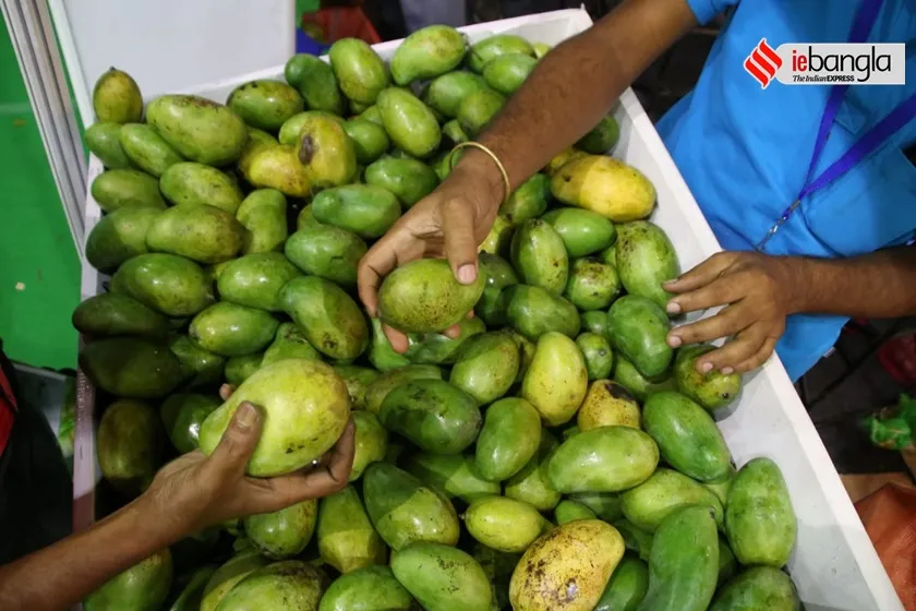  mango utsav - kolkata 2022 