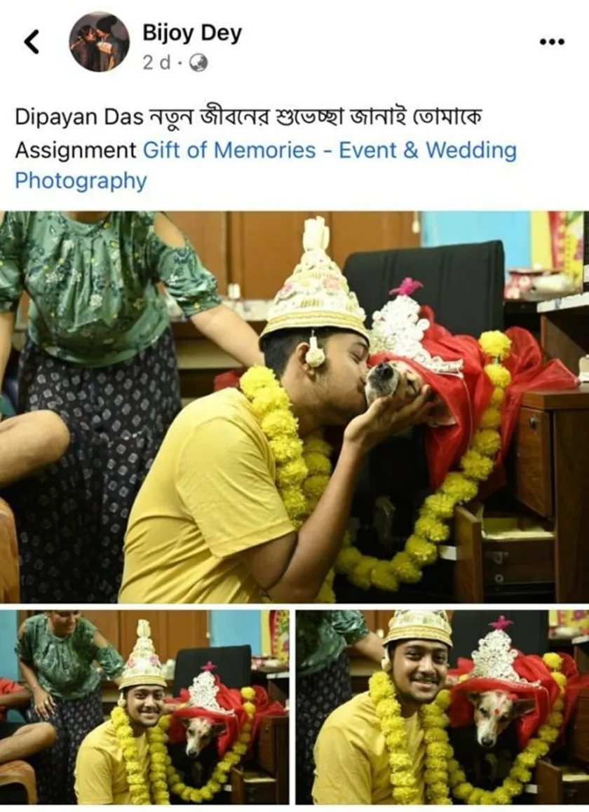 publive-image