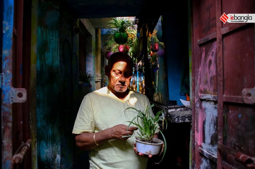 dumdum treeman story, trees in kolkata, dumdum tree area, shashi ghosh 