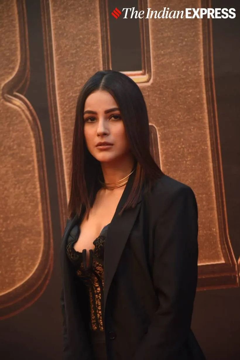 shehnaaz
