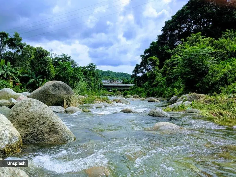 Kangra