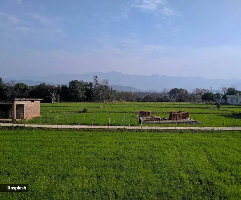 Kangra