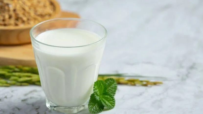 why should drink buttermilk in summer (Photo Courtesy: Freepik)