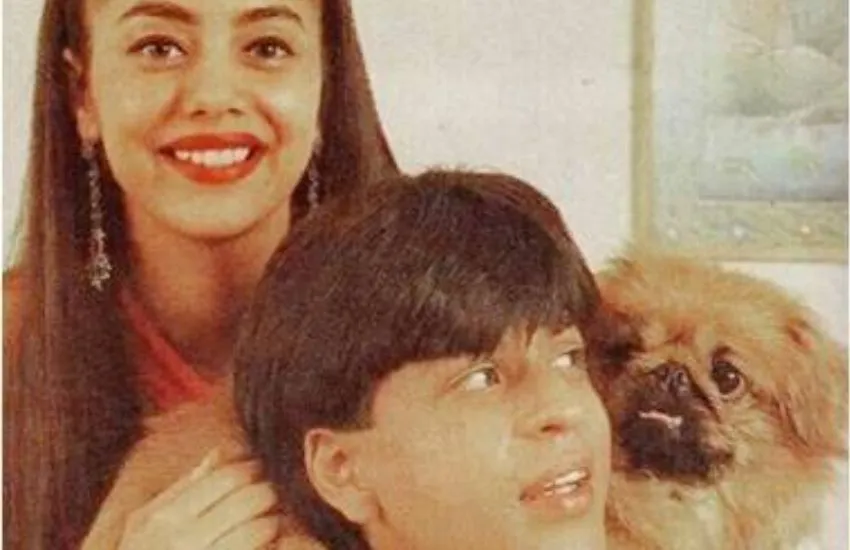 Shah Rukh Khan and Gauri Khan (Shah Rukh Khan and Gauri Khan Photo News)