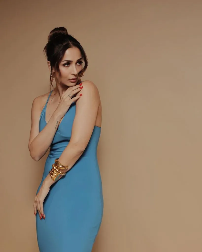 Malaika Arora (Malaika Arora Pic)