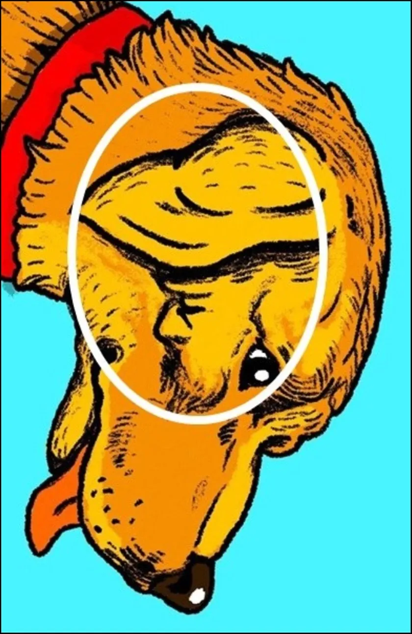 optical illusion, puzzle test, lifestyle, Optical illusions, IQ test, hidden face in picture, optical illusion of hidden face, optical illusion for IQ testing, find hidden face