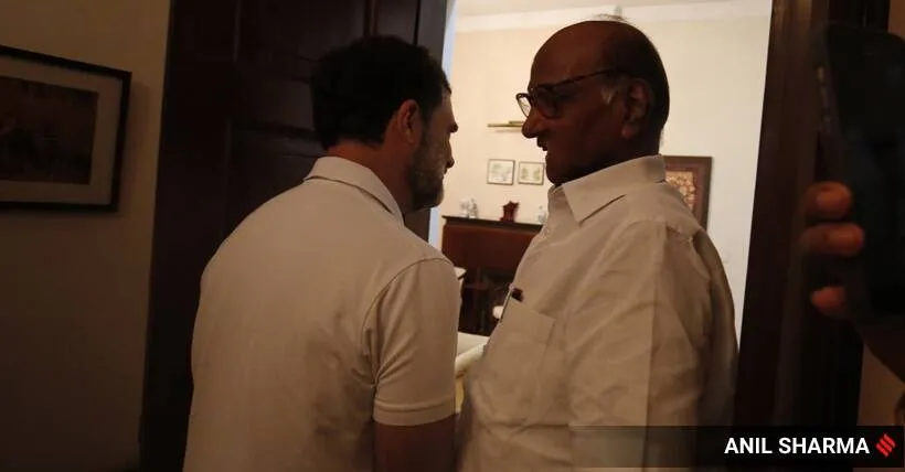 pawar gandhi