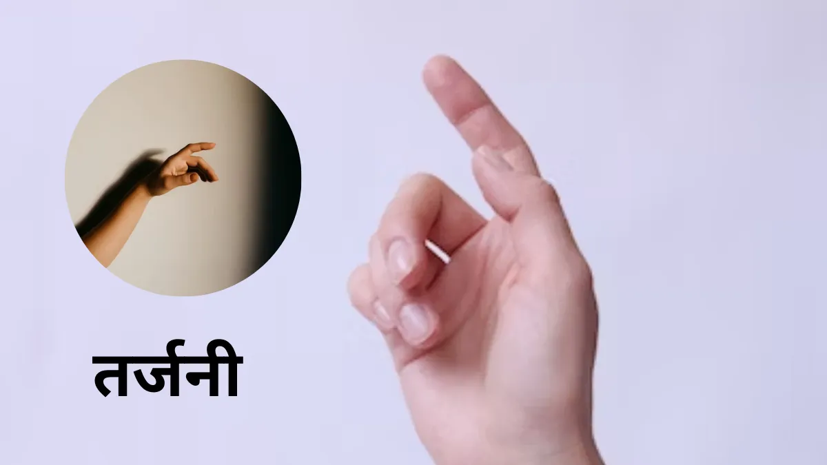 Samudrik Shastra Hand Fingers and Thumb Size Shape Shows Personality Who Will Get Fame Success And Money Astrology