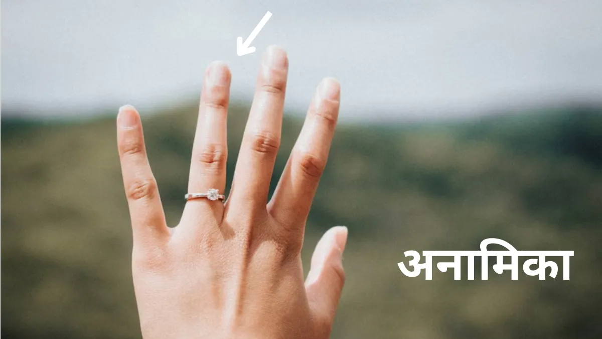 Samudrik Shastra Hand Fingers and Thumb Size Shape Shows Personality Who Will Get Fame Success And Money Astrology