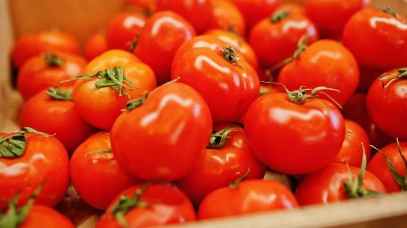 tips to store tomatoes