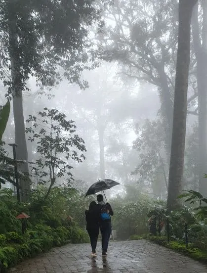 rain (Freepik)