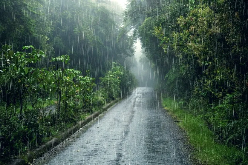 rain (Freepik)