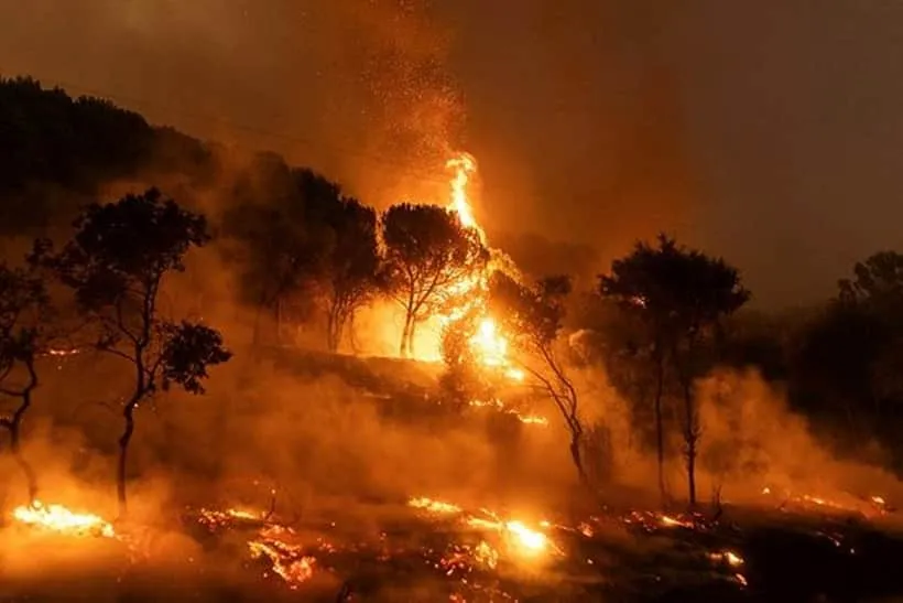 greece wildfires