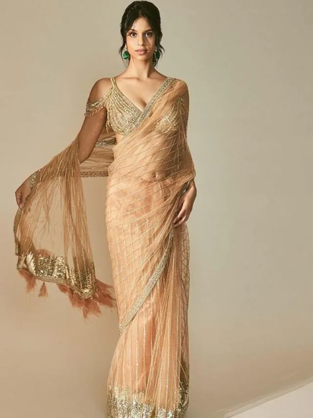suhana khan sari look (Source: suhana khan/instagram)