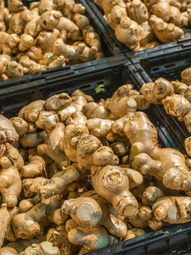 Ginger (Unsplash)