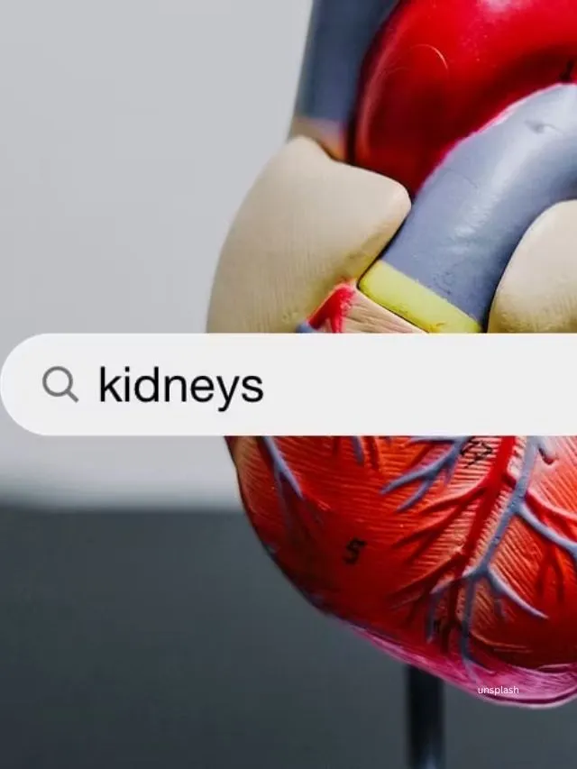 Fingernails and kidneys (unsplash)