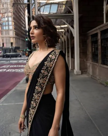 samantha political entry