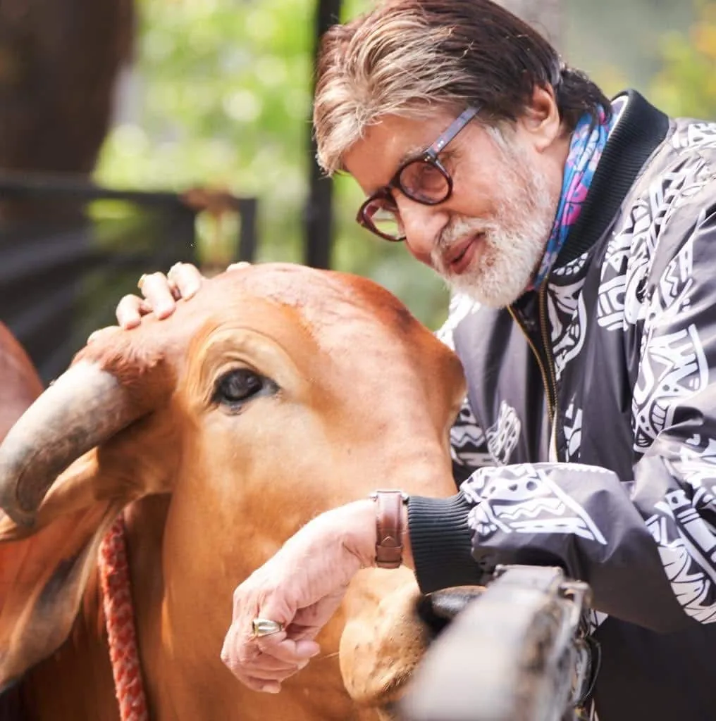 amitabh-bachchan-birthday