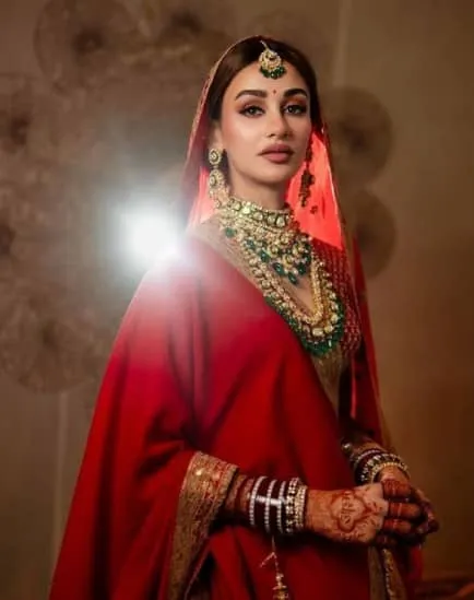 Aditi Arya marriage