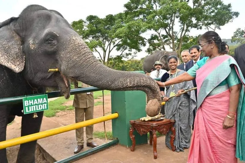 President Draoupadi Murmu