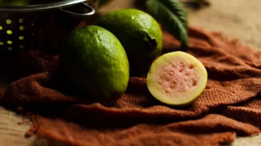 Guava Benefits