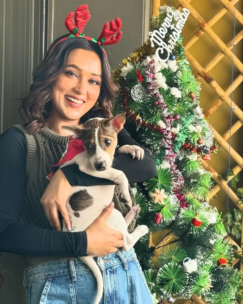 Tollywood actress Christmas celebration shubhasree Nusrat mimi
