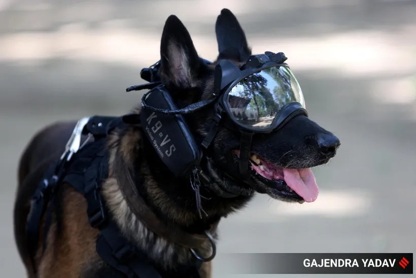 NSG Dogs training, delhi, indian express