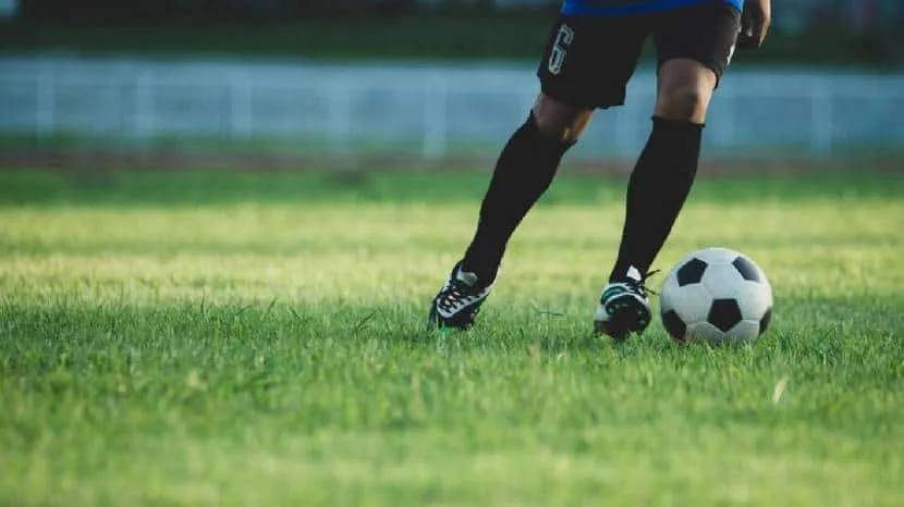 Amazing five hobbies to pick in 2024 read book play sports learn language and more