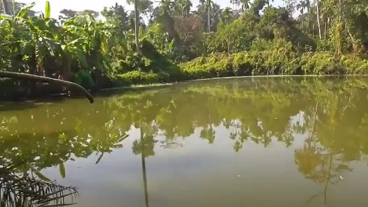 Moyda Kalibari। Pond।Adi Ganga