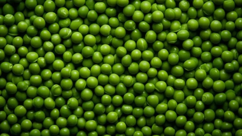 How to store green peas, 