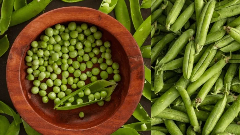 How to store green peas, 